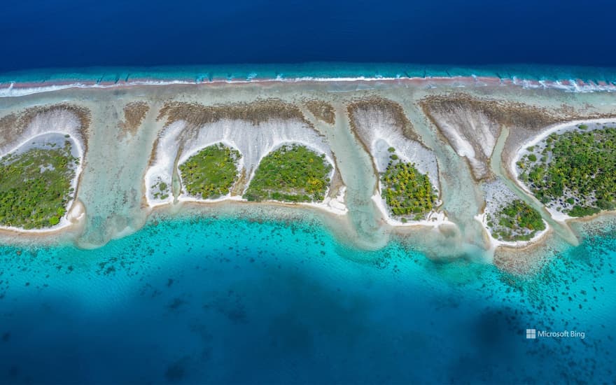 Kauehi atoll, Tuamotu Archipelago, French Polynesia