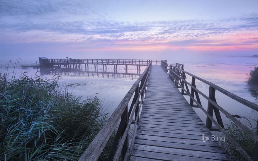 The Federseesteg at dawn near Bad Buchau, Baden-Württemberg, Germany