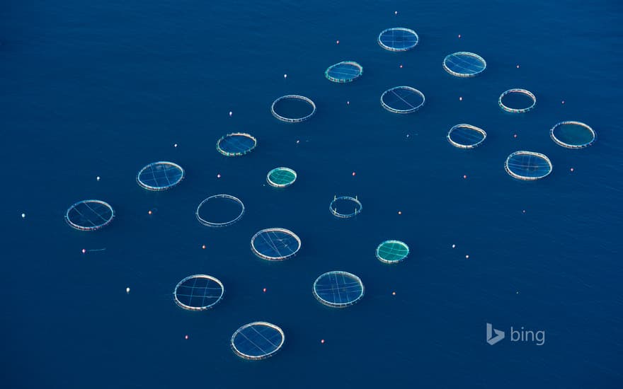 Fish farm near the Sanguinary Islands, Corse du Sud, France
