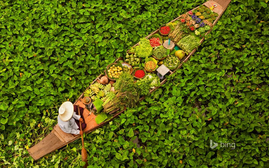 Floating market vendor near Bangkok, Thailand