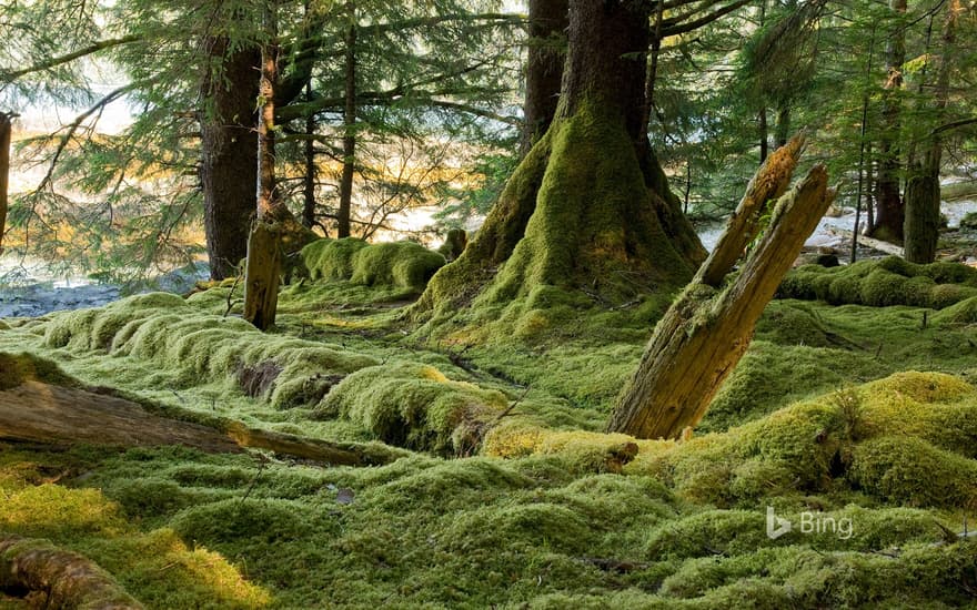 Gwaii Haanas National Park Reserve, Haida Gwaii, B.C., Canada