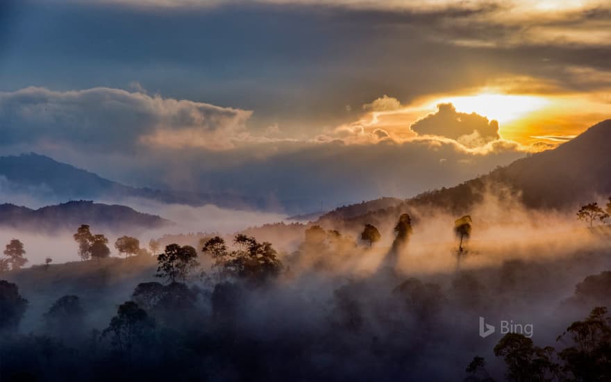 Mist over the forests of Idukki, Western Ghats, Kerala, India