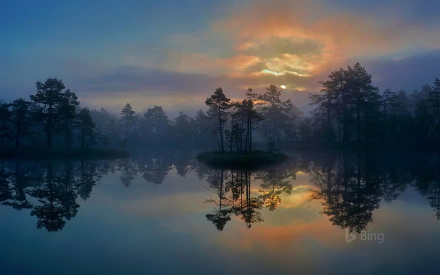 A wetland in Västmanland, Sweden