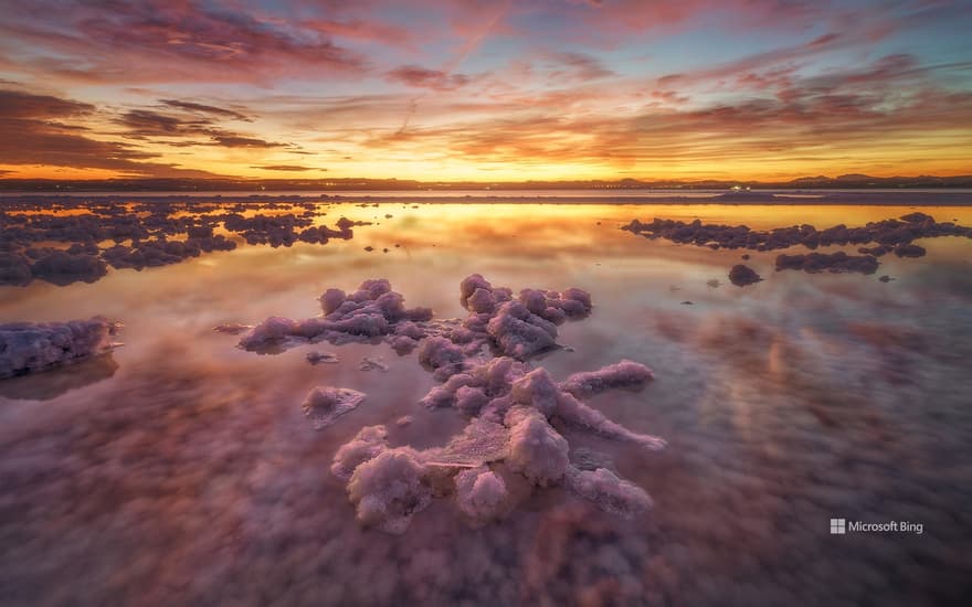 Laguna de Torrevieja, Alicante, Spain