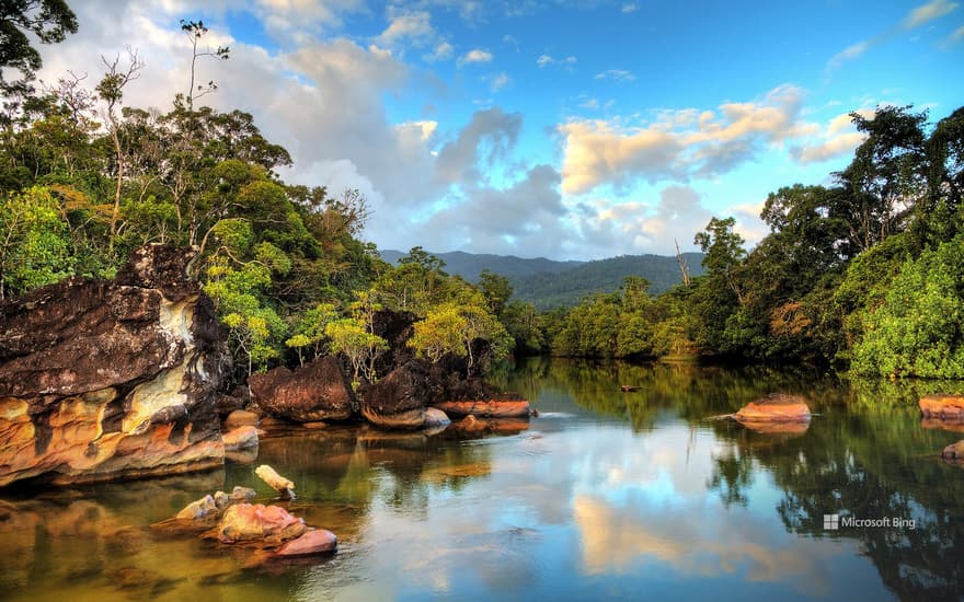 Masoala National Park in Madagascar