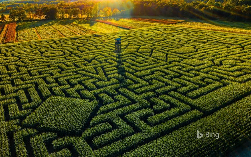 Mazezilla corn maze at Klingel's Farm in Pennsylvania