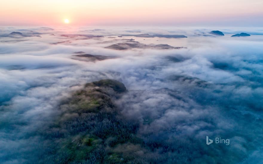 Fog along the coast, Newfoundland, Canada