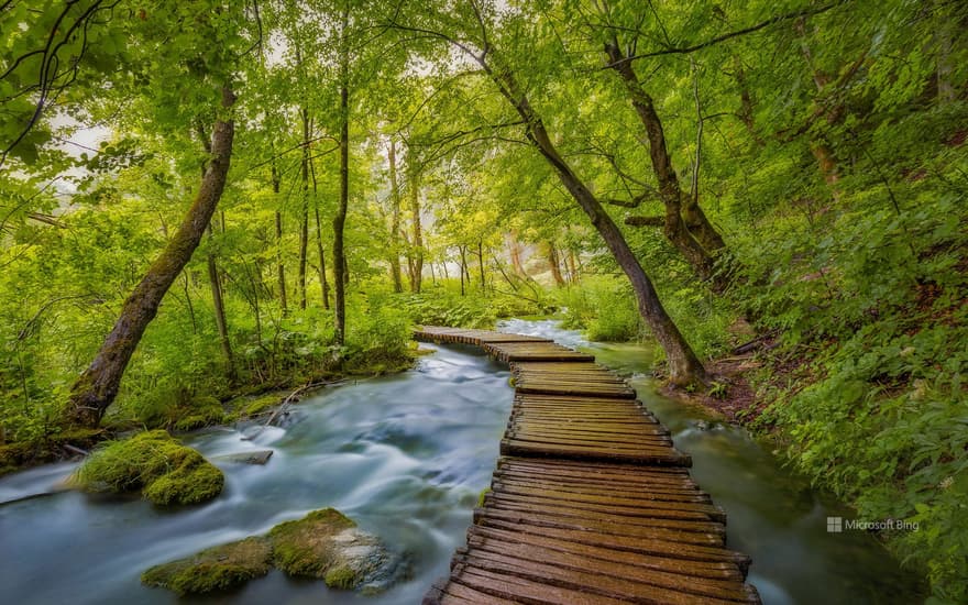 Plitvice Lakes National Park, Croatia