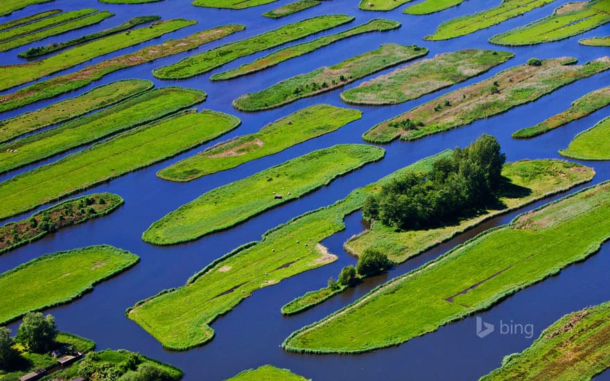 The polder landscape near Jisp, Netherlands