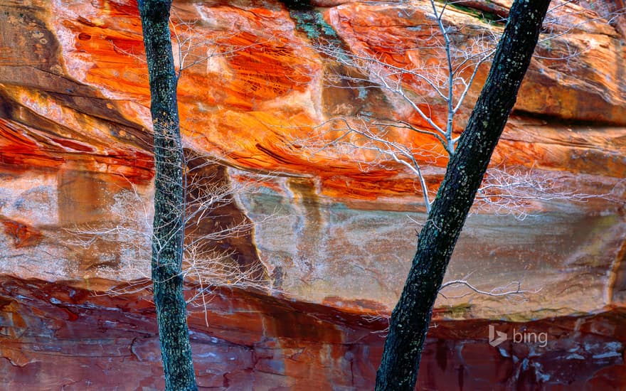 West Fork of Oak Creek Canyon in Arizona