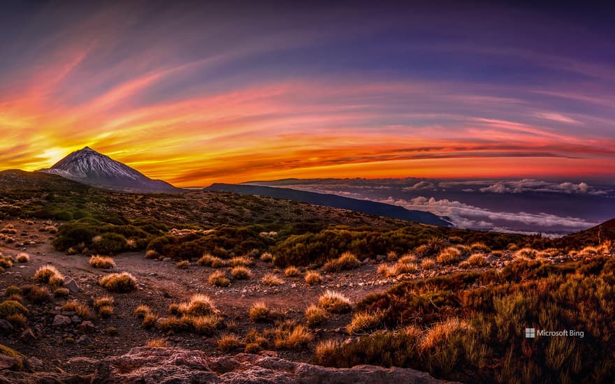 Teide National Park, Tenerife, Canary Islands, Spain