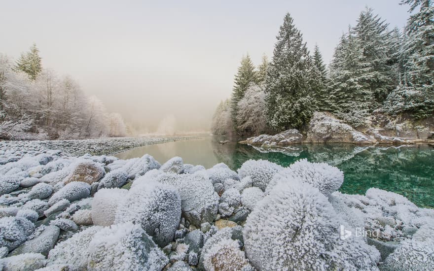 Frost on the banks of the Taylor River on the road to Tofino, B.C., Canada