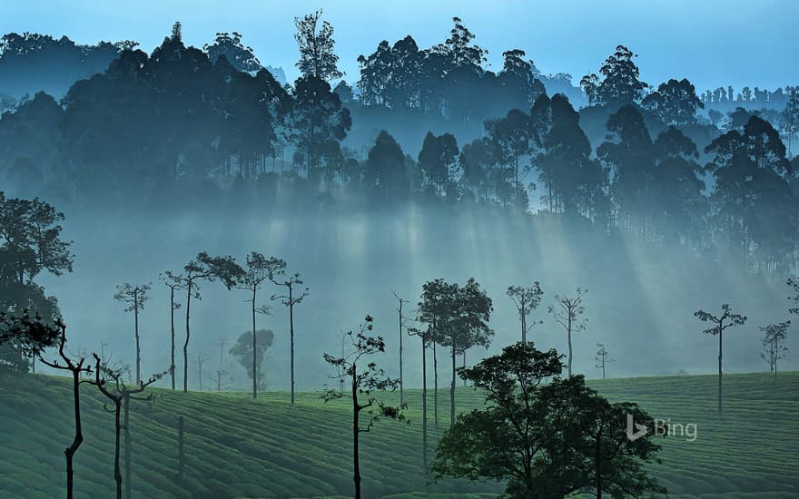 Western Ghats, India